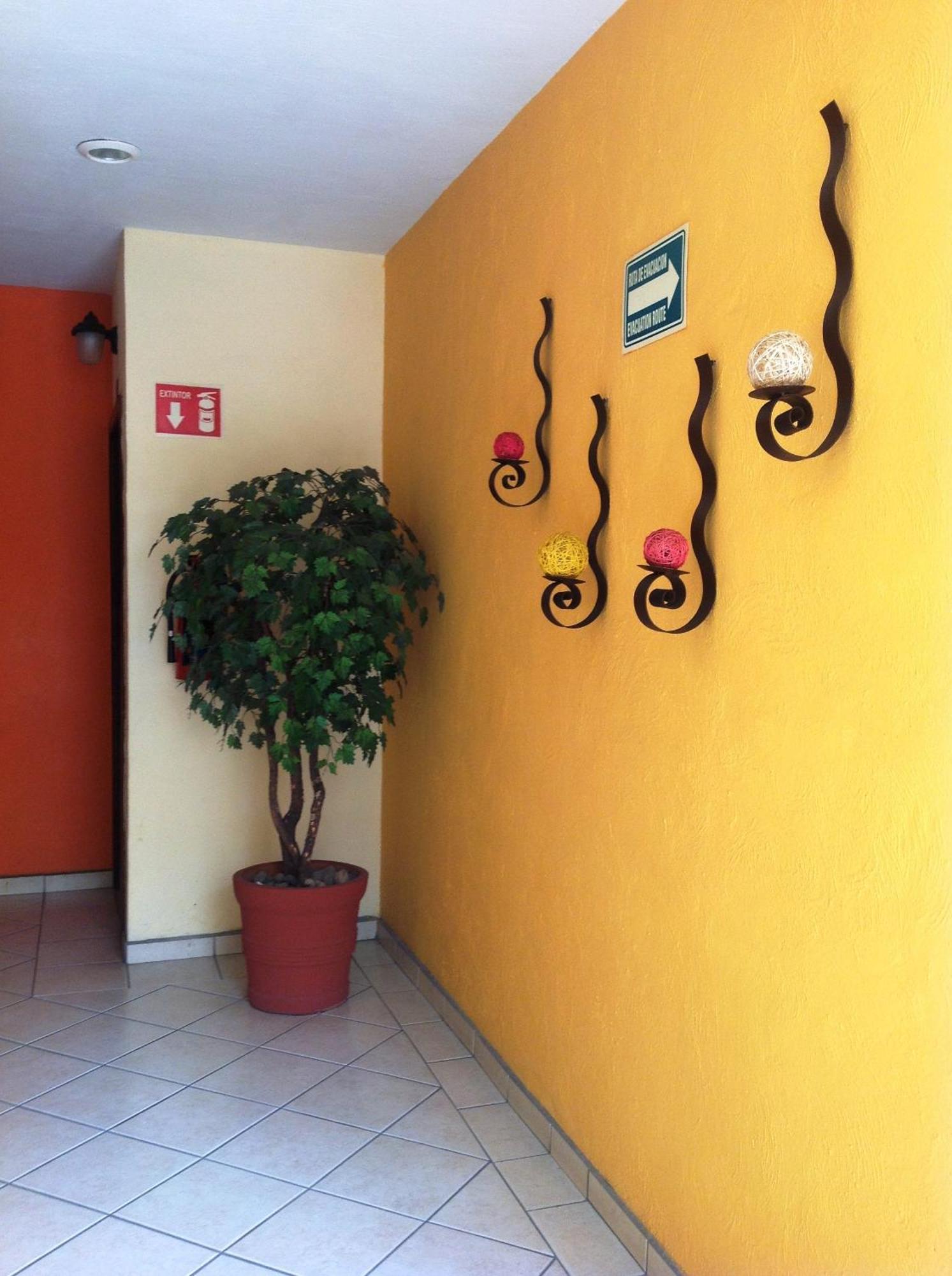 Hotel Plaza Jardin à Tequila Extérieur photo